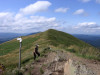 Bieszczady - Połonina Wetlińska