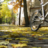 Kraków - Planty