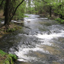 Roztocze Wschodnie