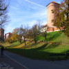 Wawel