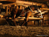 Wieliczka Salt Mine / Kopalnia Soli w Wieliczce Wieliczka Salt Mine / Kopalnia Soli w Wieliczce